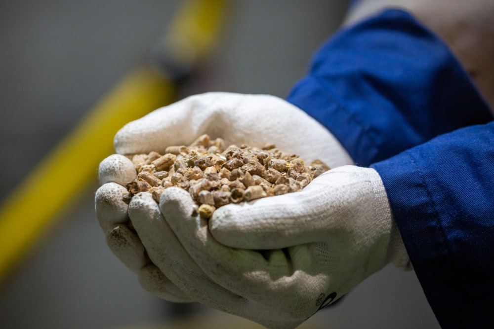 Compressed wood pellets 