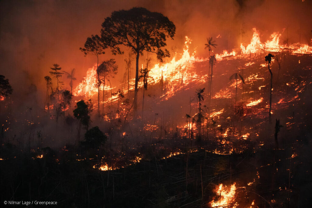 Photo of Fire and Deforestation in Porto Velho in the Amazon in Brazil. Digital Exceptionalism